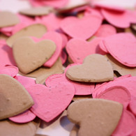 Hot Pink & Brown Heart Shaped Plantable Seeded Paper Confetti Set