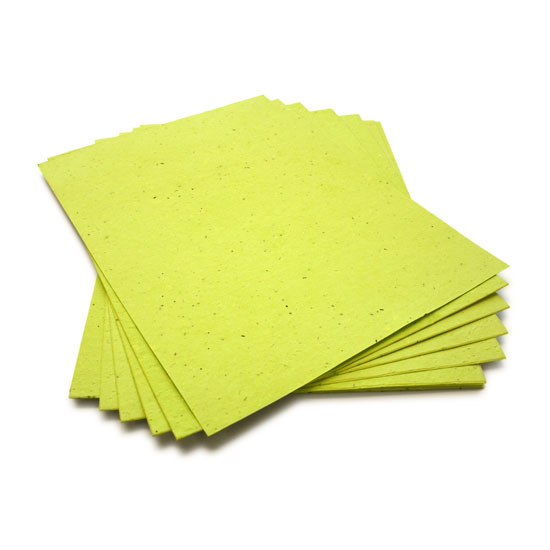 Lime Green Plantable Seeded Paper Sheets With Wildflower Seeds 8 5