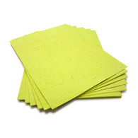 Lime Green Plantable Wildflower Seed Seeded Paper Sheets - 8.5" x 11"