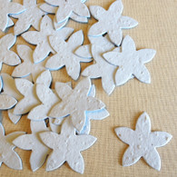 Blue Star Flower Shaped Plantable Wildflower Seeded Recycled Paper Confetti