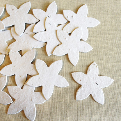 White Star Flower Shaped Plantable Wildflower Seeded Recycled Paper Confetti