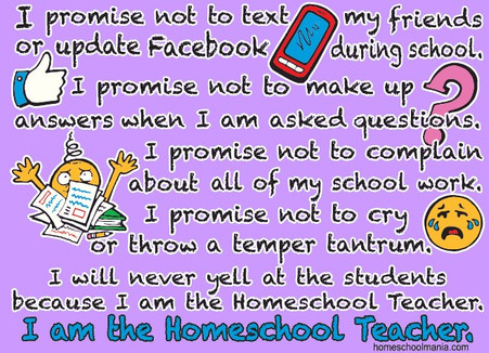 Homeschool Teacher Promise Shirt