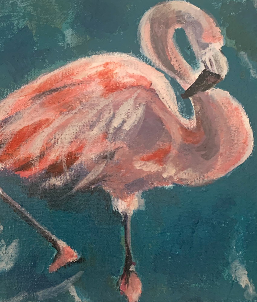 flamingo-cc.jpg