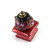 Petit Square #1 knob ruby with gold metal accents and amethyst crystals