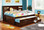Bookcase Captains Bed with Trundle