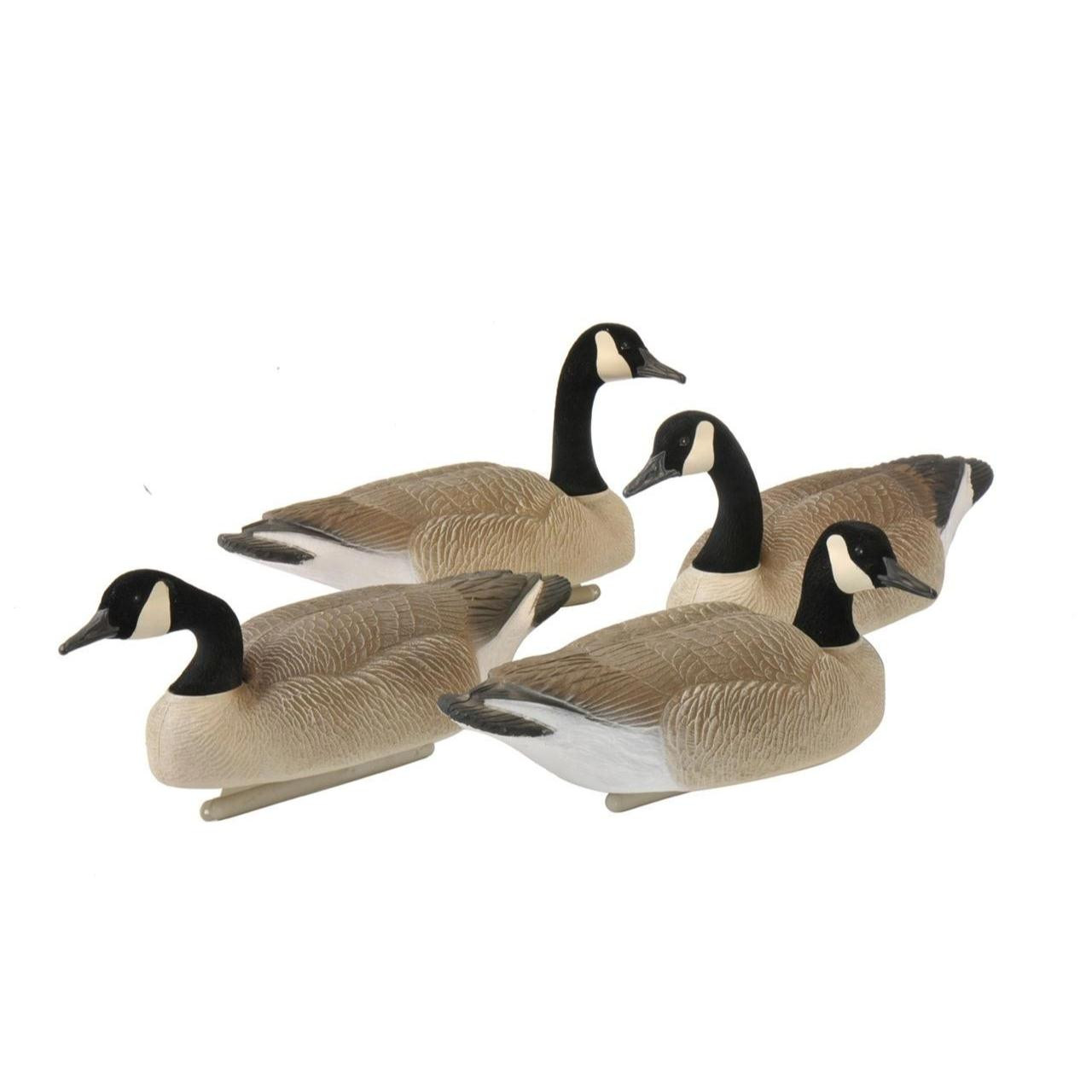 Big Foot Canada Goose Floater Decoys - 4pk - 71910811348 - Presleys