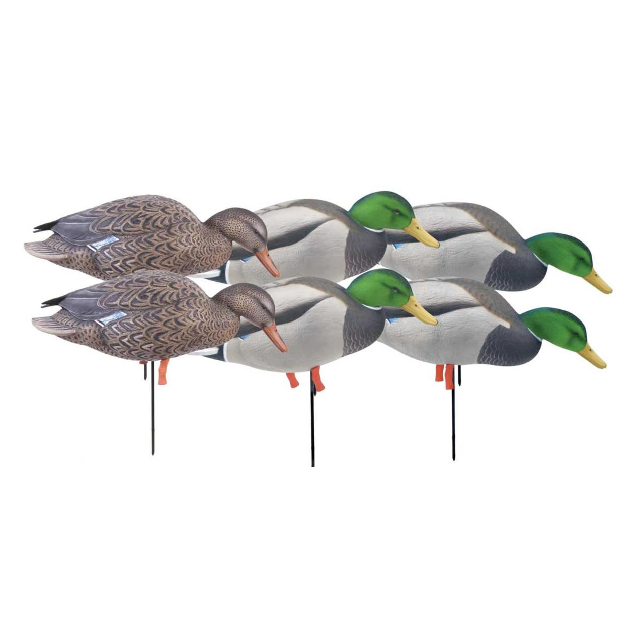 Avery Ghg Pro Grade Mallard Fullbody 6pk Feeder With Flocked
