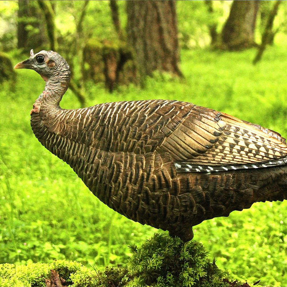 DSD Ace Leading Hen Turkey Decoy Presleys Outdoors