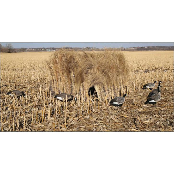 Dakota XSeries Field Blind 10' 40400 Presleys Outdoors