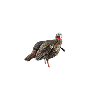 Avian-X LCD HDR Jake Quarter-Strut Turkey Decoy