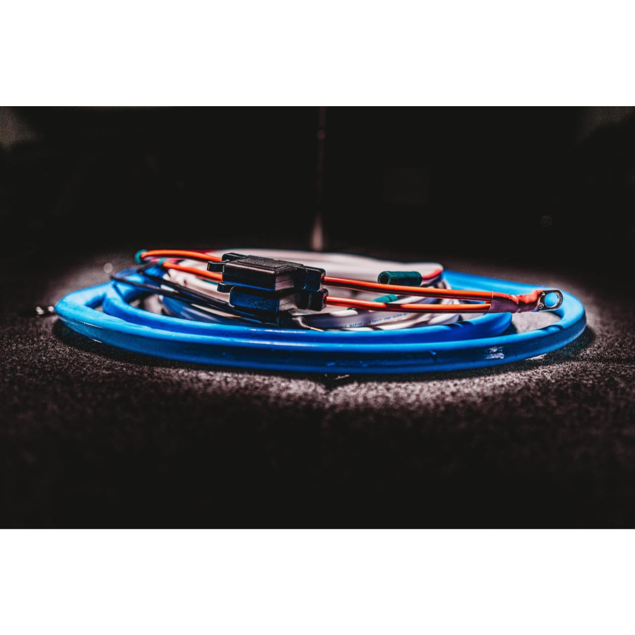 Sea Clear Power Wiring Harness with Switch & Jumper Presleys Outdoors