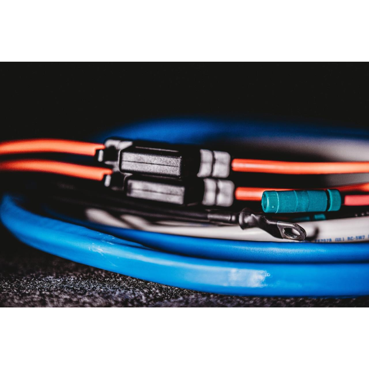 Sea Clear Power Wiring Harness with Switch & Jumper Presleys Outdoors