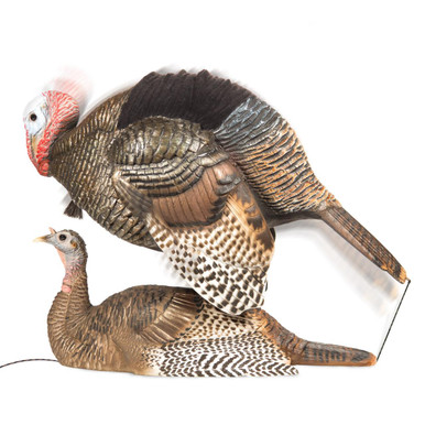DSD ACE Mating Motion Pair Turkey Decoys