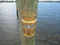 brass nautical turtle friendly dock light