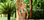 Vix Swimwear Aquarela Bia Bikini Set Aqua