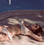 For Love and Lemons Swim St. Tropez Bikini Set Off White
