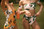 Agua Bendita Evergreen Story Celia Penelope Bikini Set 