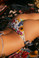 2024 Agua Bendita Embellished Lolita Tammy Bikini Set