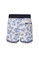 2026 Agua Bendita Boys Ivy Nick Trunks