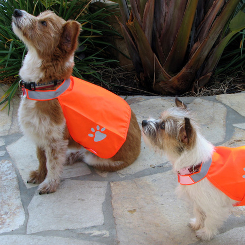 Pet Safety Vest