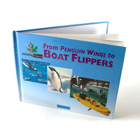 Hobie From Penguin Wings to Boat Flippers By  Toney Allman