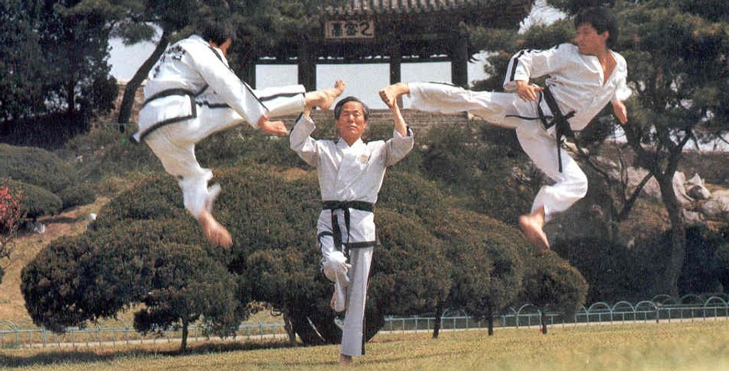 The Kicking Art of Taekwondo