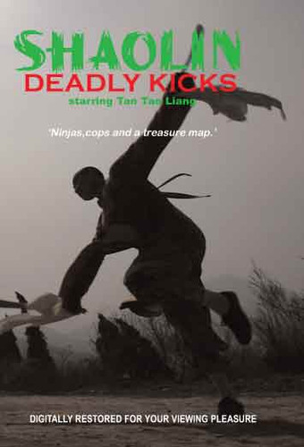 Shaolin Deadly Kicks