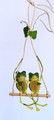 Quirky all natural from lovers on a swing!