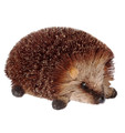 Beautifully Handcrafted, Handmade and all Natural Hedgehog Crawling. Medium Size (15cm)