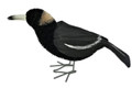 Gorgeous Large Magpie Hand Made and all natural - 31cm