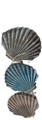 Seaside Range - Wall Hanger Shells - 110cm