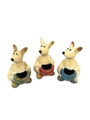 Kangaroo Toothpick Holder - Set of 3 (9cm high)
Beautifully designed Ceramic (SET OF 3) Kangaroo Toothpick Holders