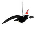 Gorgeous Aussie MAGPIE Christmas Ornament - WITH WINGS and Christmas Hat - 13CM