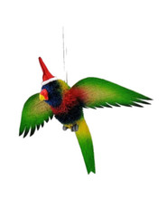 Gorgeous Aussie RAINBOW LORIKEET Christmas Ornament - WITH WINGS and Christmas Hat - 13CM