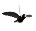 Gorgeous Aussie MAGPIE Ornament - WITH WINGS - 13CM