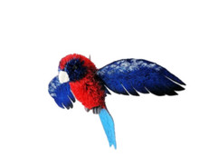 Gorgeous Aussie CRIMSON ROSELLA Ornament - WITH WINGS - 13cm