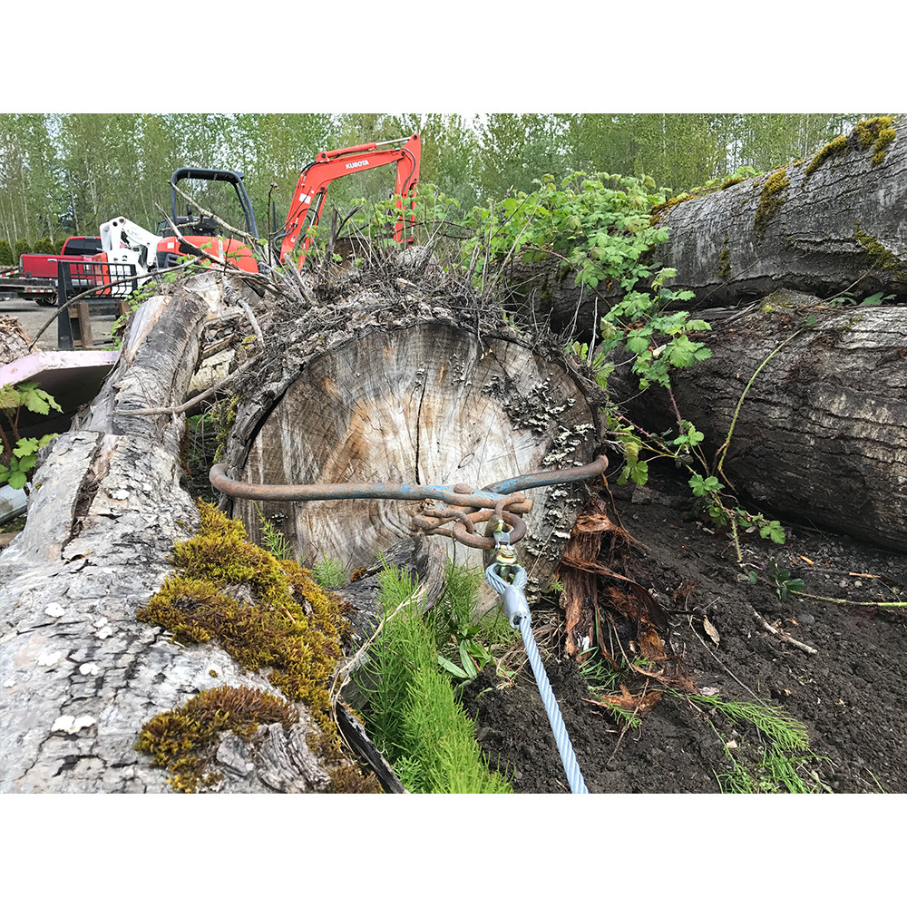 Edge Industries Skid Steer Winch Attachment Skid Steer Solutions