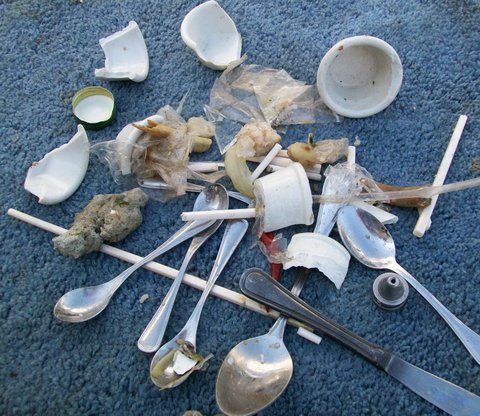 Prevent drain clogs at restaurants prevent drain clogs at restaurants