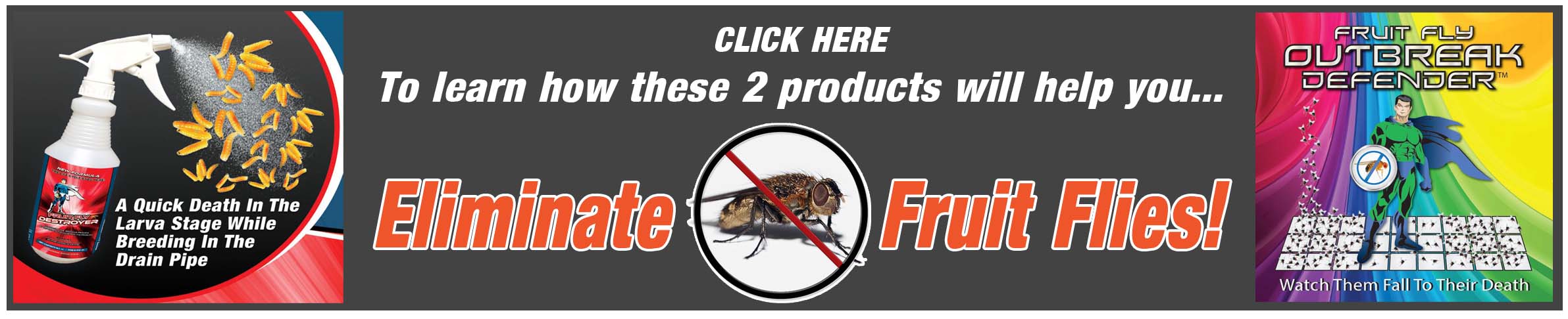 fruit fly sprays that work pest control