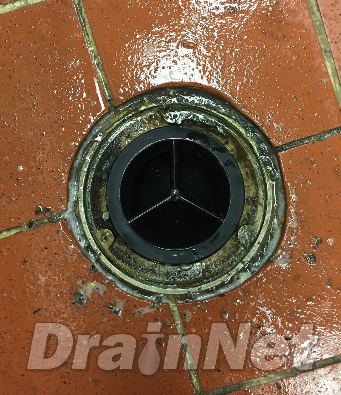 GREEN DRAIN Inline Floor Drain Trap 4" LiquidBreaker