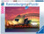 Ravensburger - Sydney Opera House Harbour BR Puzzle 1000pc RB19211-3