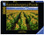 Ravensburger - Fields of Gold 1000pc RB15288-9