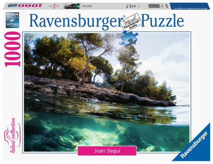 Ravensburger - Points of View 1000pc RB16198-0