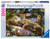 Ravensburger -Leopard Family Puzzle 1000pc RB19148-2