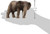 Schleich - African Elephant Female SC14761 size 