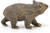 Schleich - Wombat SC14834 a