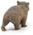 Schleich - Wombat SC14834 b