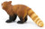 Schleich - Red Panda SC14833 c