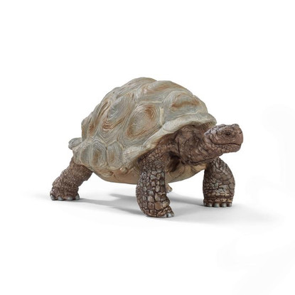 Schleich - Giant tortoise SC14824