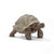 Schleich - Giant tortoise SC14824